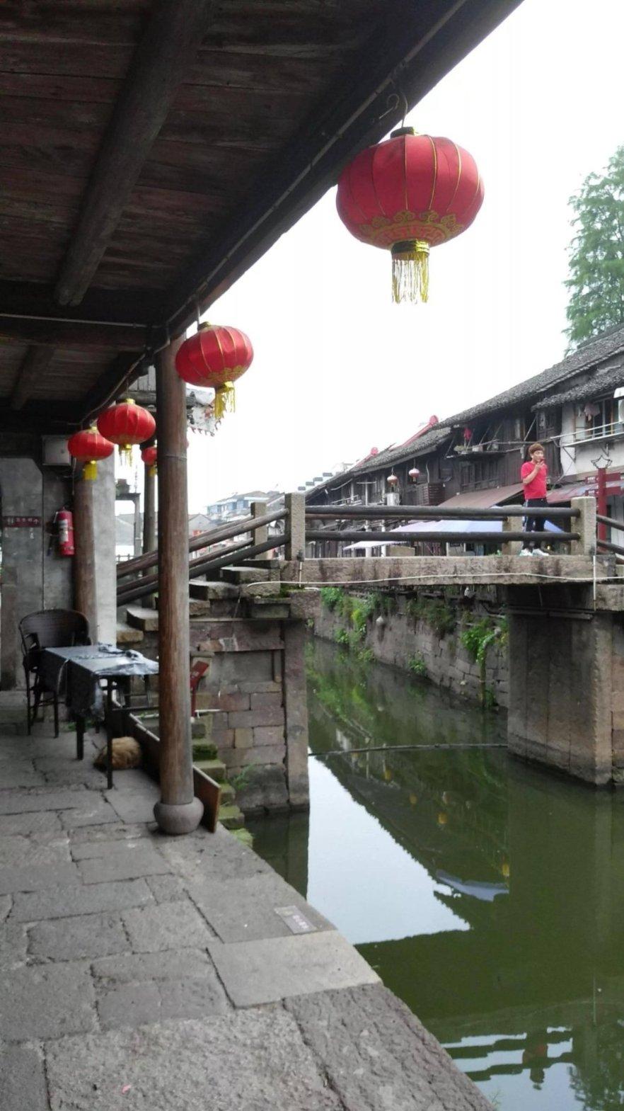 动物滑动拼图